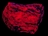 Calcite, apatite - Princess Sodalite Mine Rock Farm (midrange UV)
