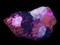 Calcite, apatite - Princess Sodalite Mine Rock Farm (midrange and shortwave UV)