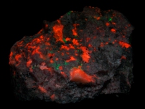 Rhodonite, willemite, calcite - Franklin, New Jersey (shortwave UV)