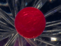 2.5 mm synthetic ruby ball (longwave UV)