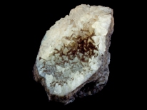 Calcite crystals, 1.8 Million Years Old, Fort Pierce, Florida (longwave UV)