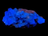Fluorite, Blue Circle Quarry, Weardale, County Durham, England (longwave UV)
