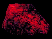 Purple calcite, Westminster, Maryland  (shortwave UV)