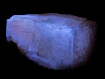 Calcite - Cave Stone Quarry, Bartholomew Co., Indiana (shortwave UV)