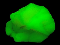 Uranium glass slag or cullet - West Virginia (longwave UV)