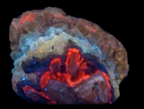 Aragonite - calcite, Namib Lead Mine (shortwave UV)