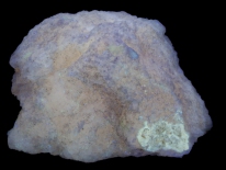 Aragonite - Fallon, Nevada (longwave UV)