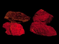 Calcite, dolomite, svabite - Langban, Sweden (shortwave UV)