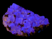Fluorite - Spain (longwave UV)