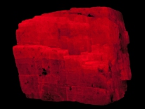 Calcite var. manganocalcite - Medford Quarry, Carroll Co., MD (midrange UV)