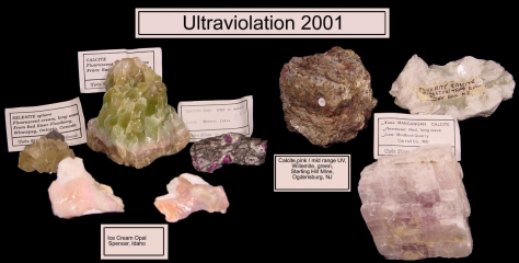 Specimens from Ultraviolation 2001