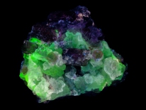 Apatite crystals in zinc ore / chalcedony - Durango, Mexico(longwave UV)
