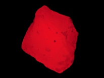 Calcite - Pakistan (longwave UV)