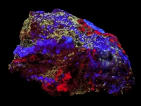 Calcite, Fluorite, Willemite - Red Cloud Mine, Trigo Mountains, La Paz County, Arizona (longwave, midrange, shortwave UV)