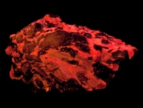 Fluor-richterite, calcite - Wilberforce, Ontario, Canada (midrange UV)
