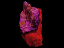 Sphalerite, calcite - Sterling Hill Mine, Ogdensburg, NJ (shortwave UV)