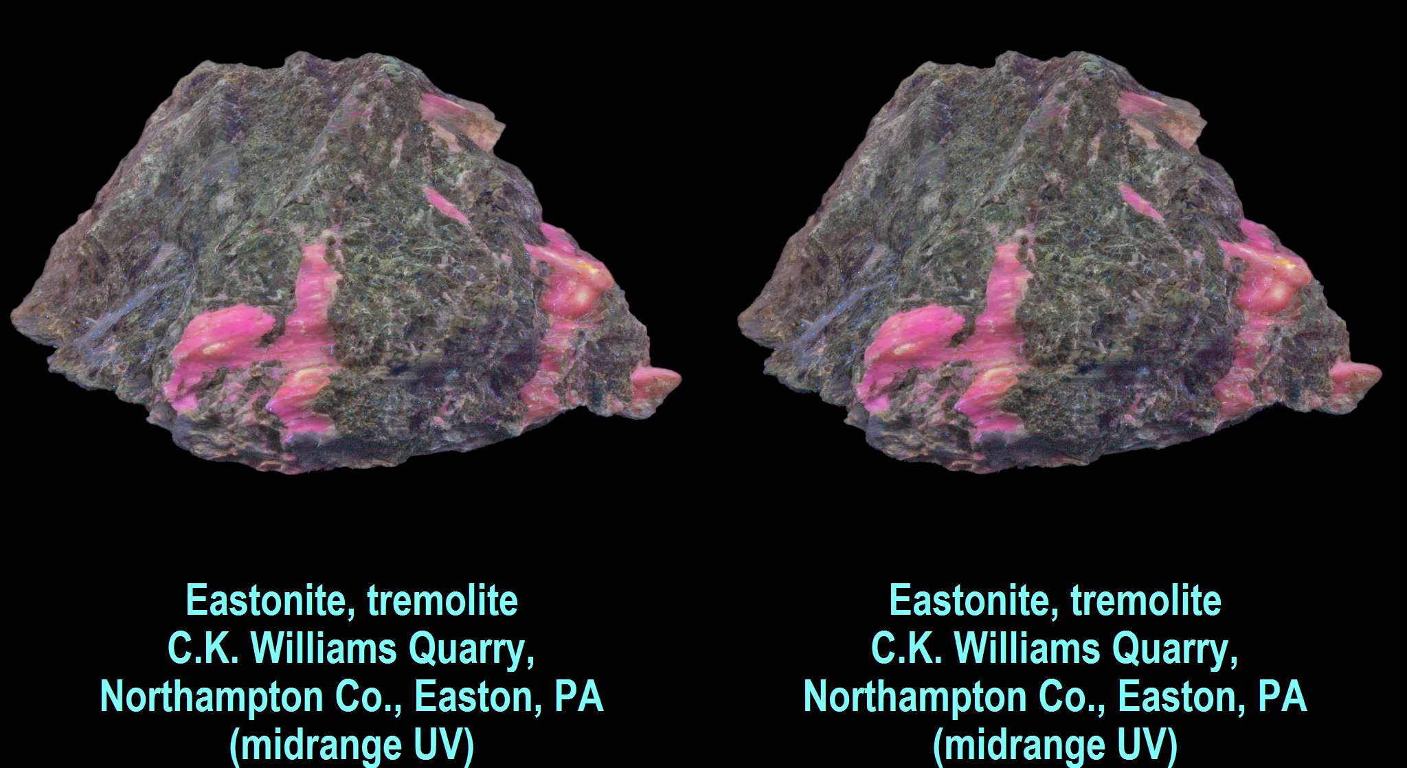 Eastonite, tremolite - C.K. Williams Quarry, Northampton County, Easton, PA (midrange UV)
