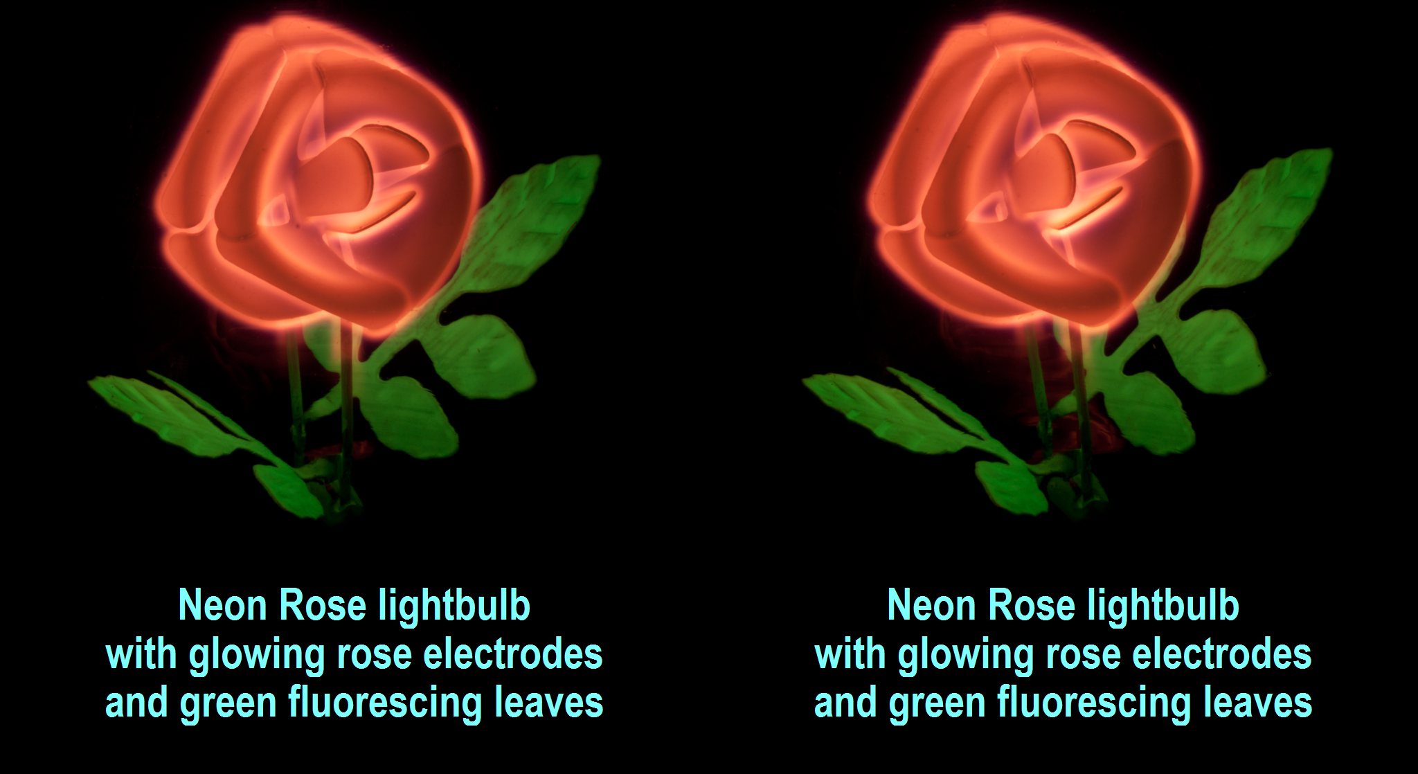 Neon Rose lightbulb with glowing rose electrodes and green fluorescing leaves