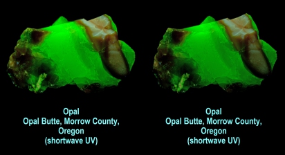 Opal, Opal Butte, Morrow Co., Oregon (shortwave UV)
