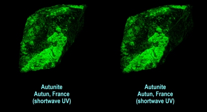 Autunite - Autun, France (shortwave UV)