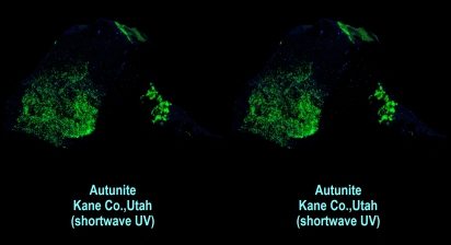 Autunite - Kane Co.,Utah (shortwave UV)