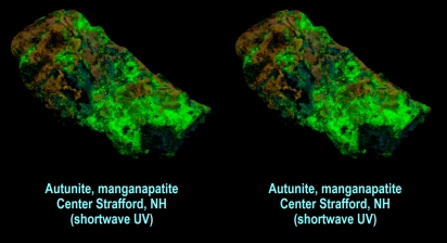 Autunite (fl. green), manganapatite (fl. orange) - Center Strafford, NH (shortwave UV)