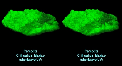 Carnotite - Chihuahua, Mexico (shortwave UV)