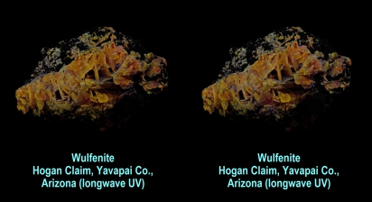 Wulfenite - Hogan Claim, Yavapai Co., Arizona (longwave UV)