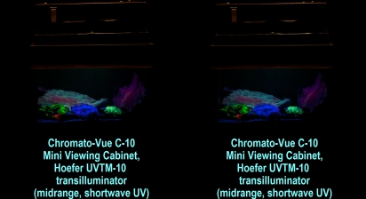 Chromato-Vue C-10 Mini Viewing Cabinet, Hoefer UVTM-10 transilluminator (midrange, shortwave UV)