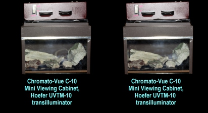 Chromato-Vue C-10 Mini Viewing Cabinet, Hoefer UVTM-10 transilluminator