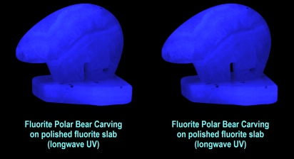Fluorite Polar Bear Carving on fluorite Polished Slab (longwave UV)