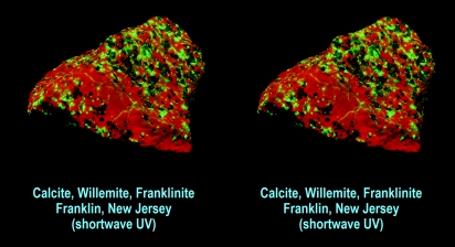 Calcite, willemite, franklinite - Franklin Mineral Dump, Franklin NJ (shortwave UV)