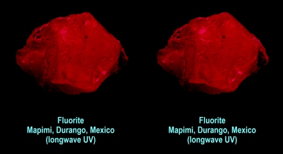 Fluorite - Mapimi, Durango, Mexico (Cherry Red longwave UV)