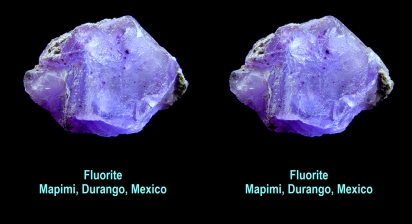 Fluorite - Mapimi, Durango, Mexico