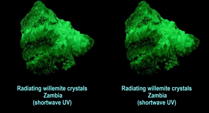 Radiating willemite crystals - Zambia (shortwave UV)