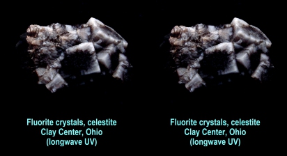 Fluorite crystals with celestite - Clay Center, Ohio (longwave UV)