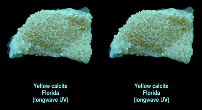 Yellow calcite - Florida (longwave UV)