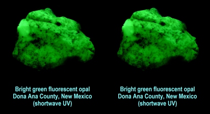 Bright green fluorescent opal, Dona Ana Co., NM (shortwave UV)