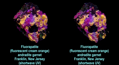Fluorapatite (fluor. cream orange) w/ andradite garnet, old time Franklin, NJ specimen (shortwave UV)