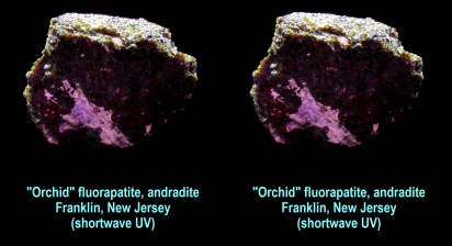 Pinkish-fluorescing fluorapatite with andradite, Franklin, NJ (shortwave UV + white light)