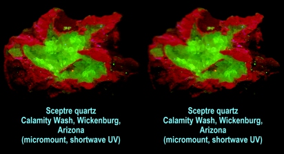 Sceptre quartz, Calamity Wash, Wickenburg, AZ (shortwave UV) micromount