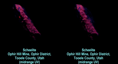 Scheelite, Ophir Hill Mine, Ophir District, Tooele County, Utah (midrange UV)