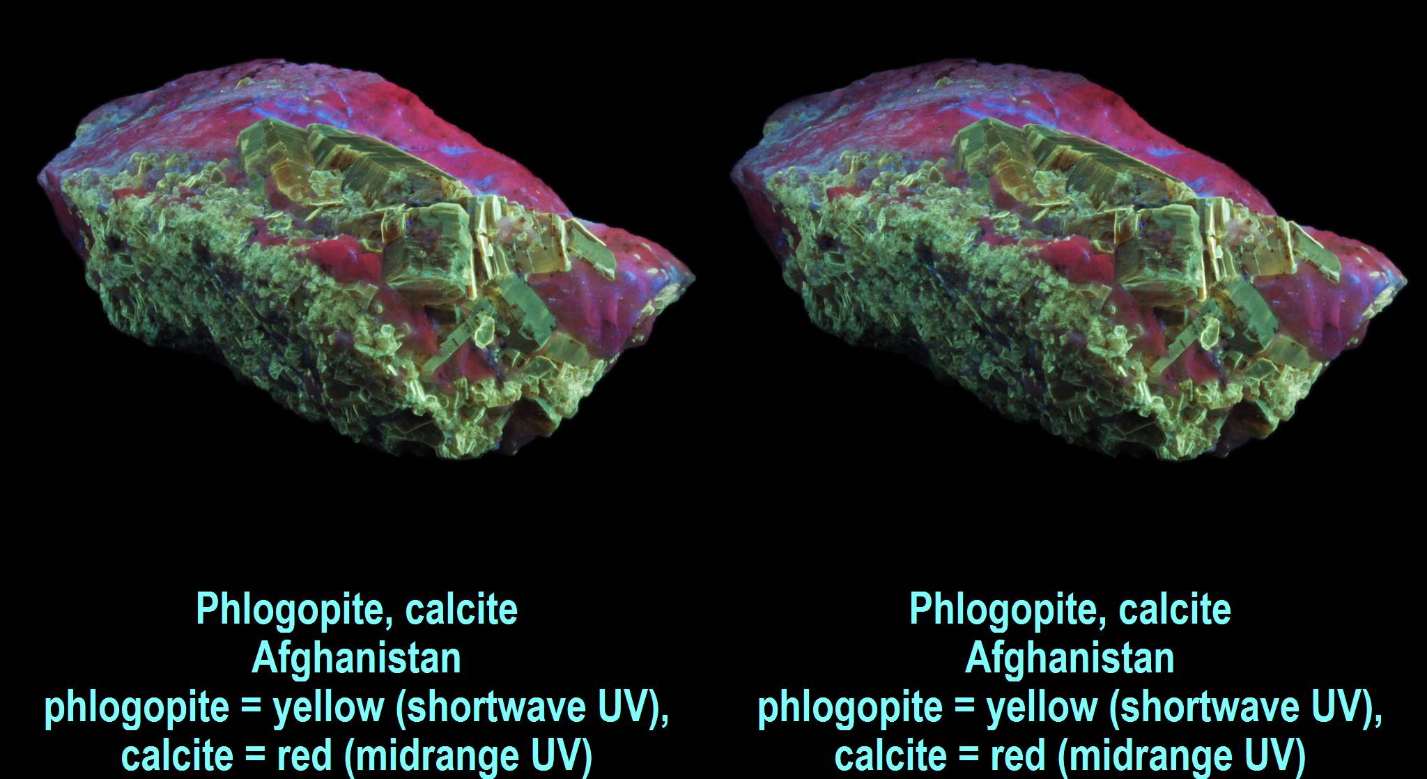Phlogopite, calcite - Afghanistan - phlogopite yellow (shortwave UV), calcite red (midrange UV)